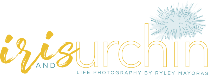 iris-and-urchin-life-photography-by-ryley-mayoras-logo