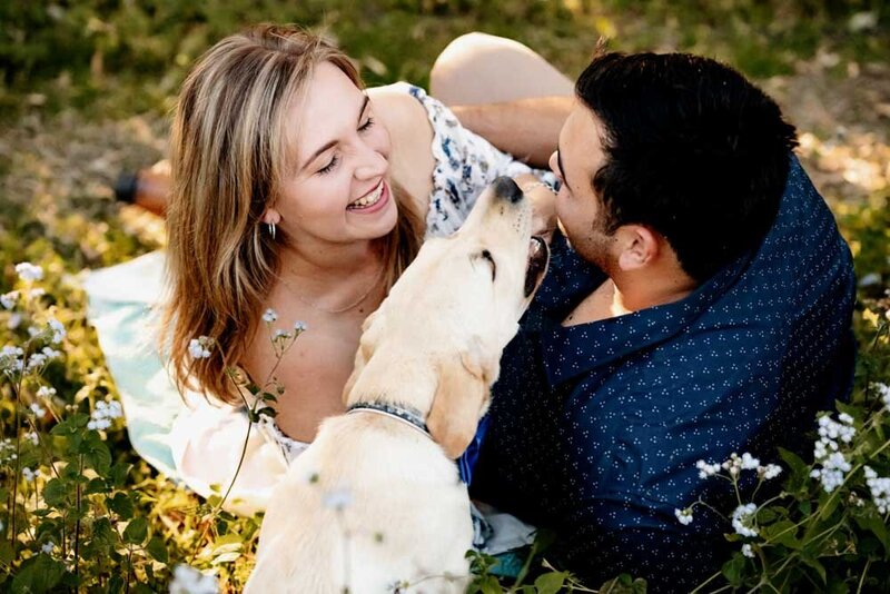Engagement couple lying on the green grass with their dog