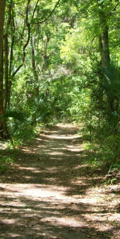 path down florida road