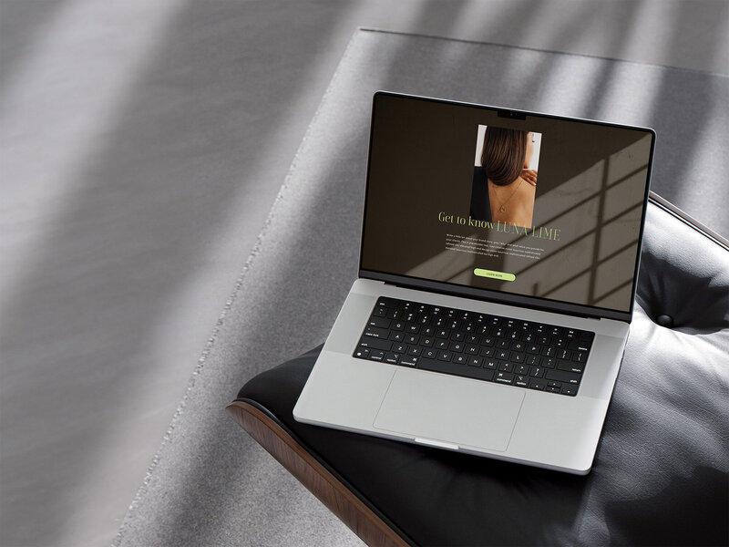 Mockup of The Elevated Link Hub on a laptop