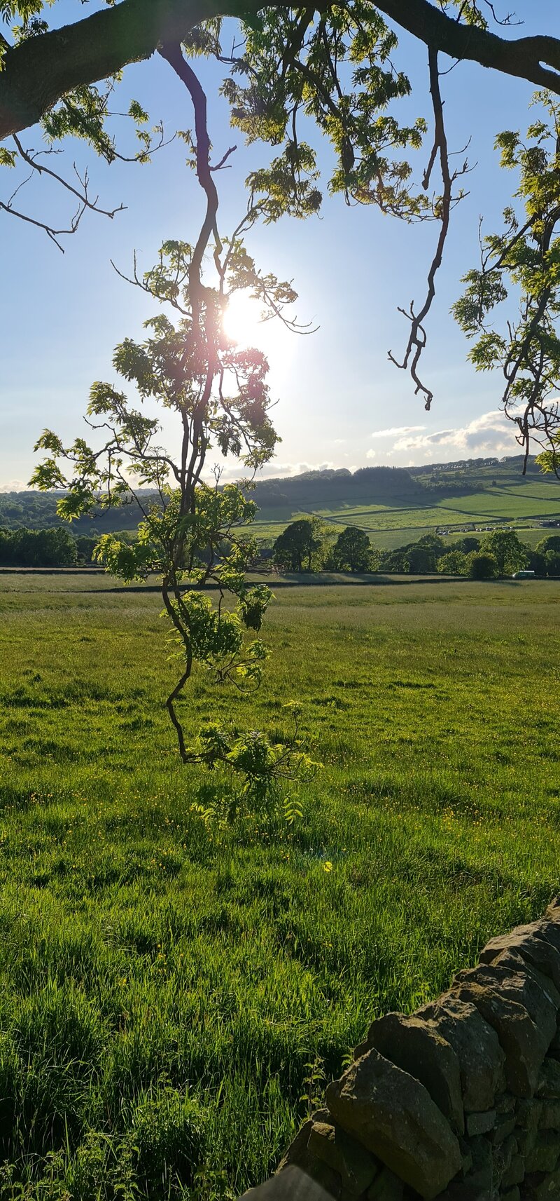 hollyhouse_cottage_view_002