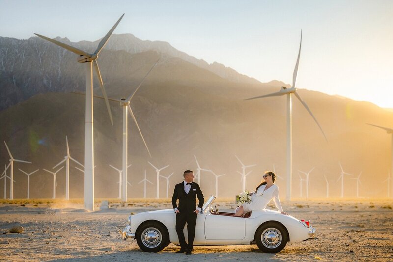 Wedding photos at Palm Springs Windmills