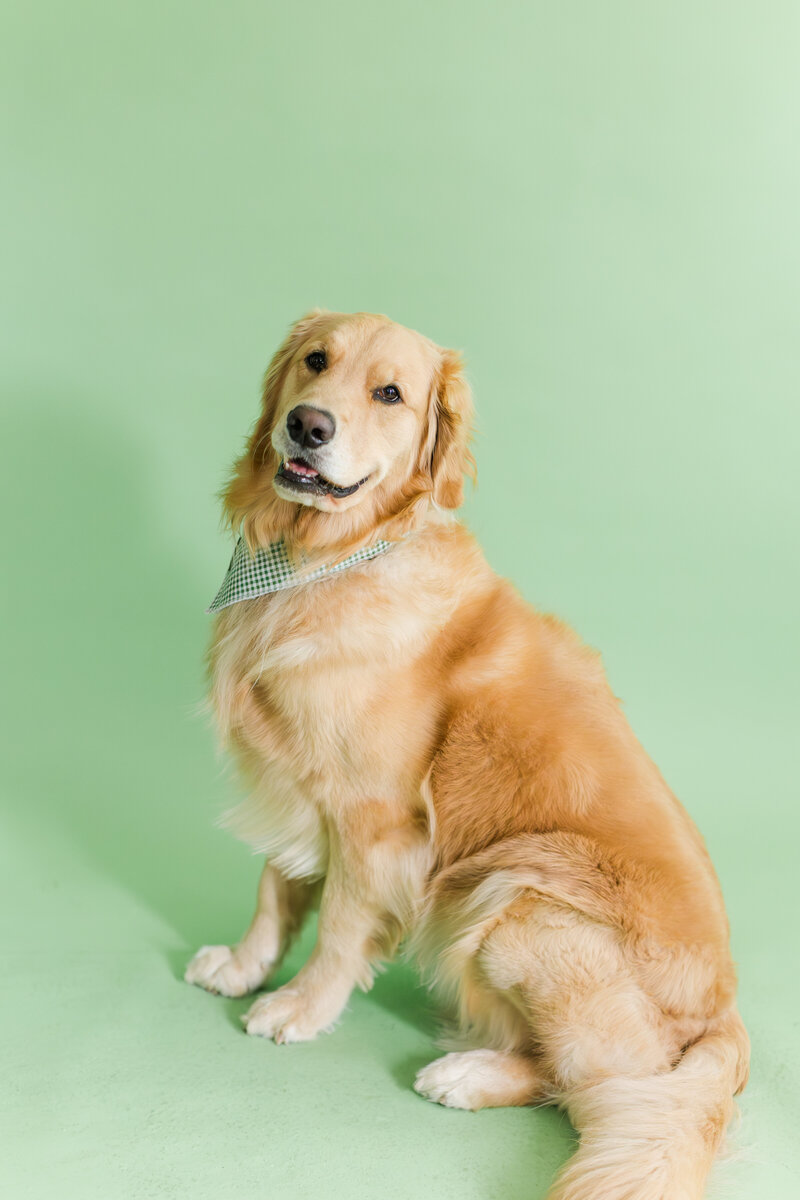 Alfie-Senior-Photographer-Kelsey-Marie-Photography-2024--2