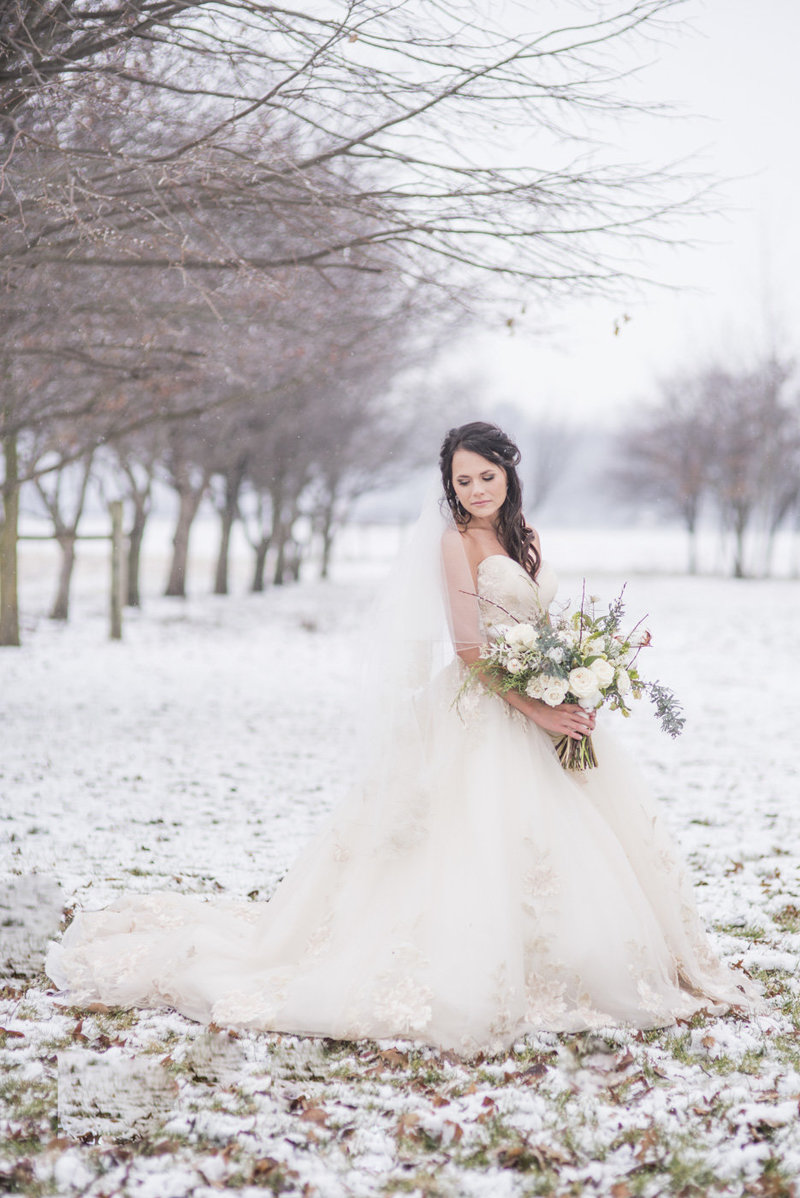 Indianapolis-wedding-photographer-bride-snow