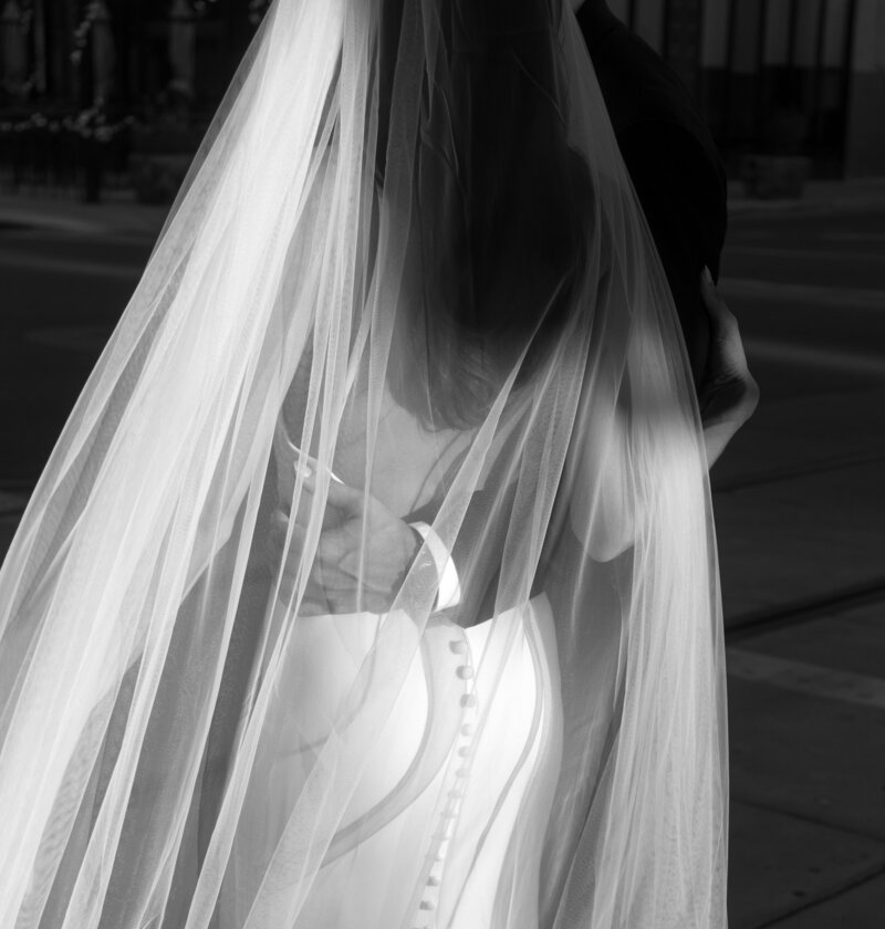 veil cascading down her back with button details on her dress