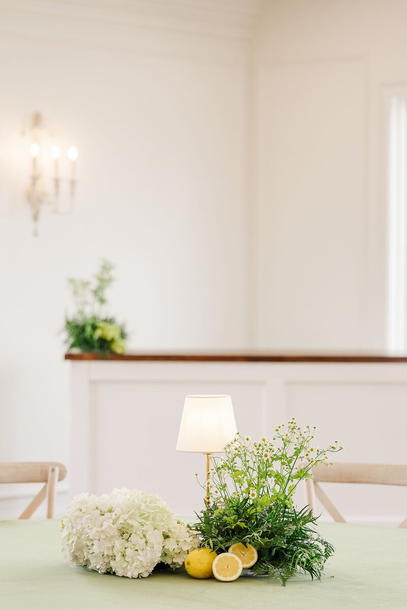 20250404-blackberry-ridge-villa-ga-wedding-venue-64