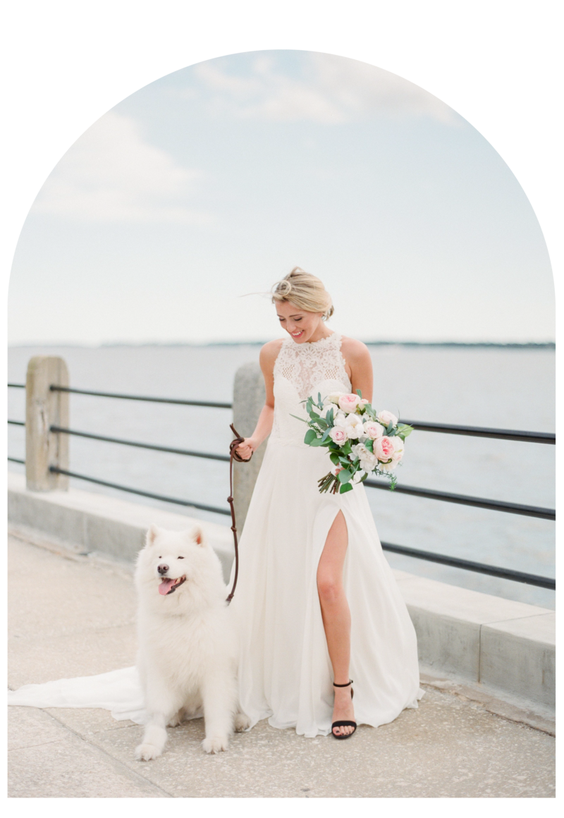 wedding-photographer-in-charleston-bride-with-dog-1