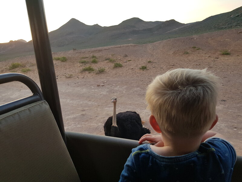 Kidsreizen Zuid-Afrika - De Reistoko - hoofdfoto carrousel 4