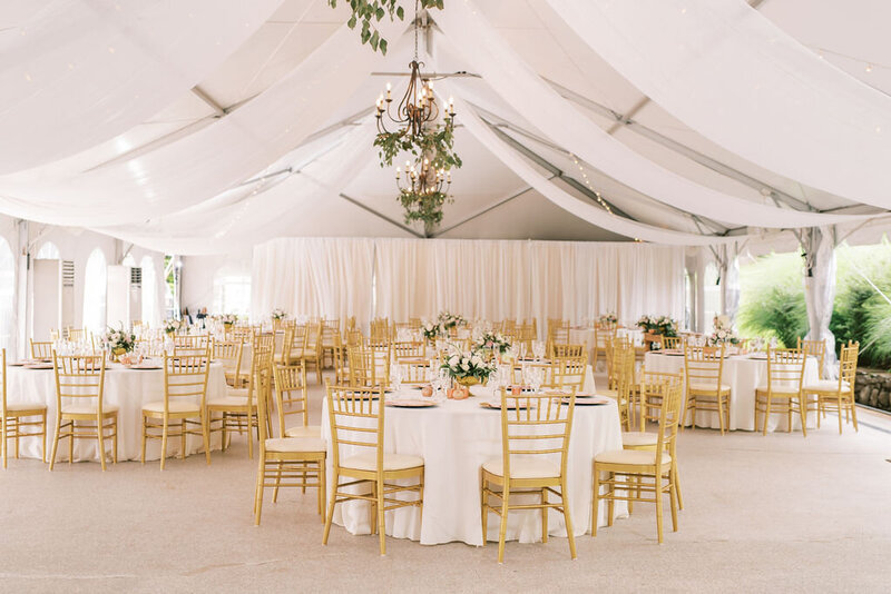 Reception - SusieCoreyWedding_MaddyWilliams Photography