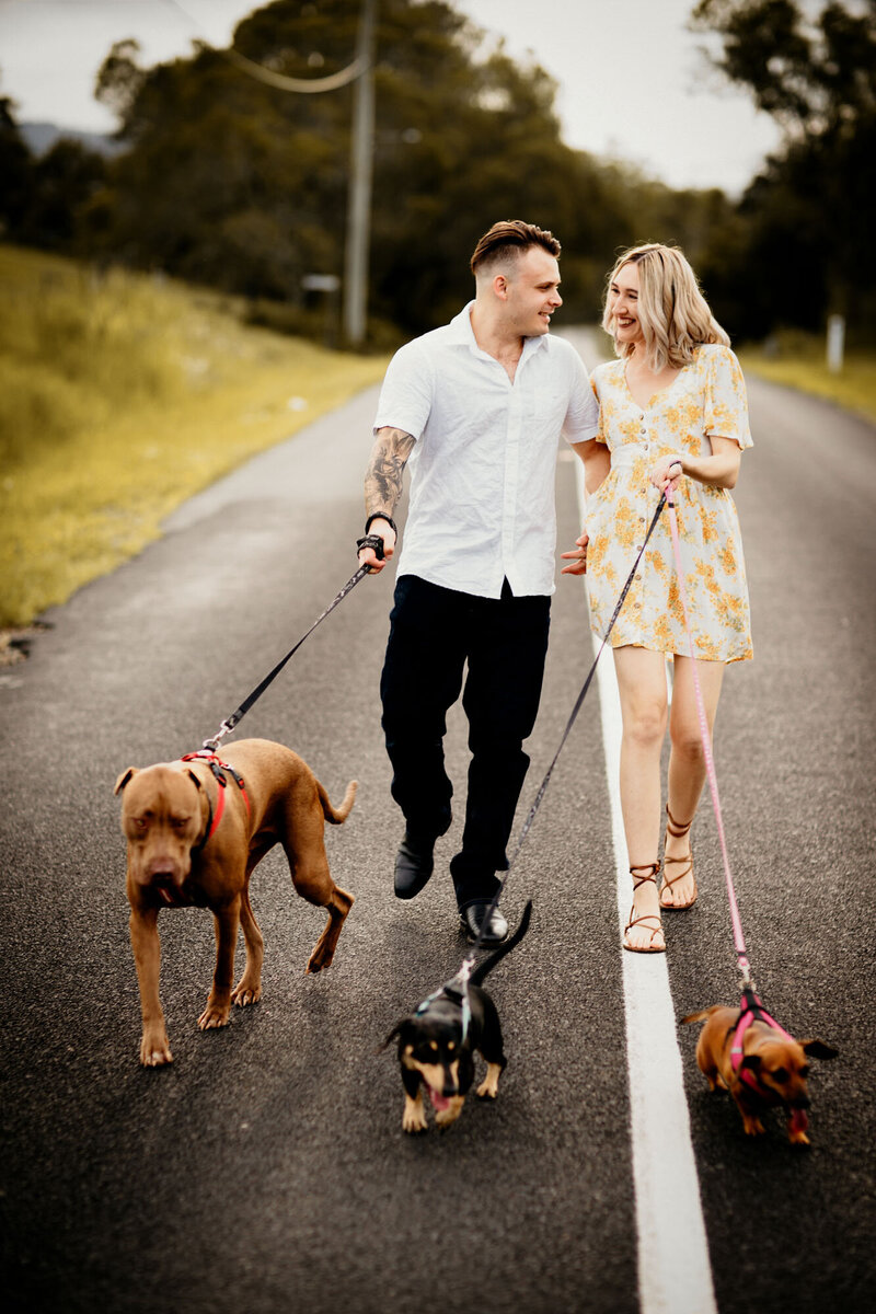 Engagement couple having a walk with their dogs on the road