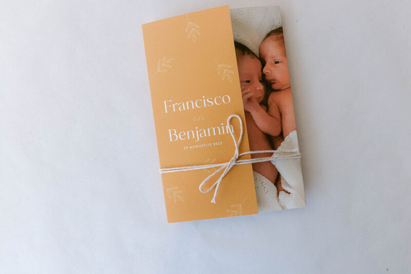 Tweeling-geboortekaartje-drieluik-okergeel-twee-jongens-francisco-benjamin-1-6