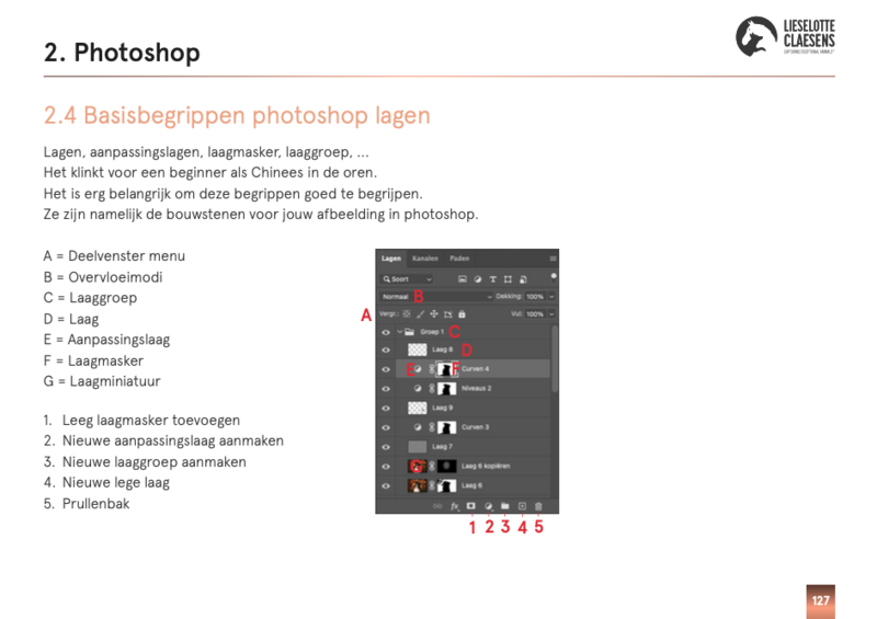 Scherm­afbeelding 2025-03-24 om 17.24.31