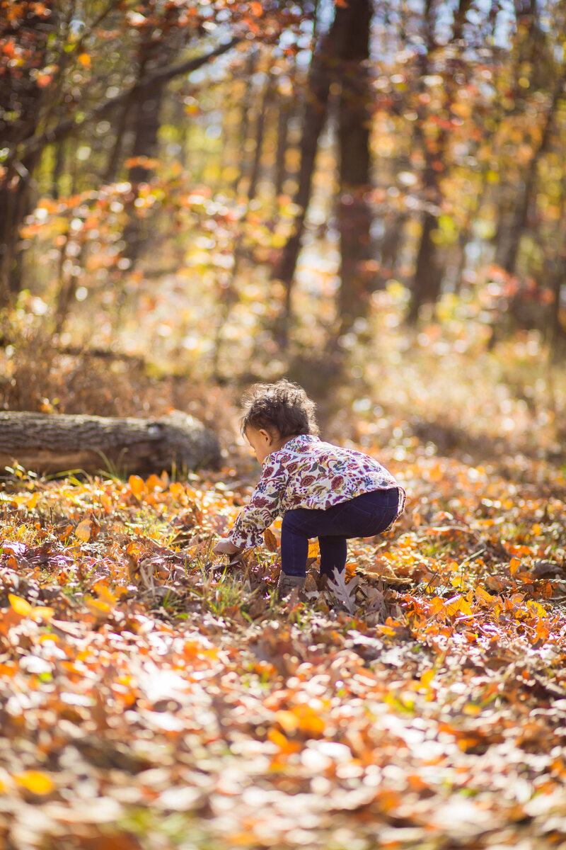 Fall image of a toddler in the woods