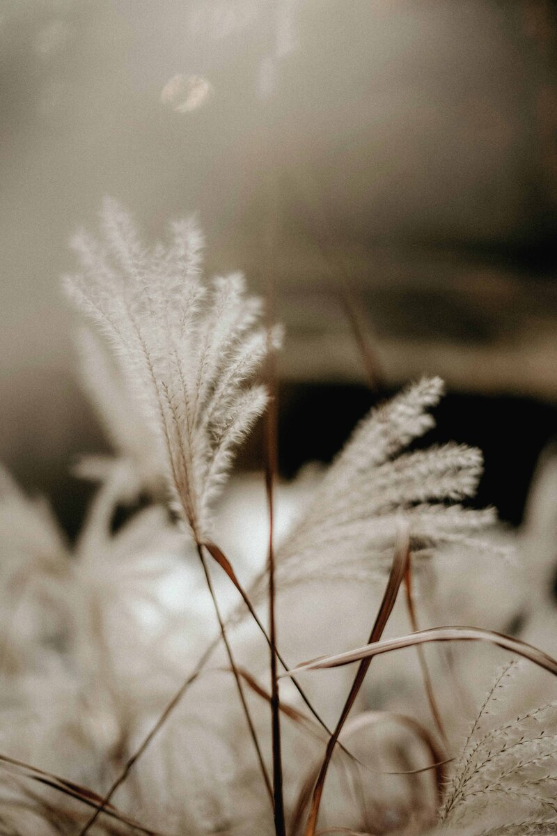 Floral arrangement