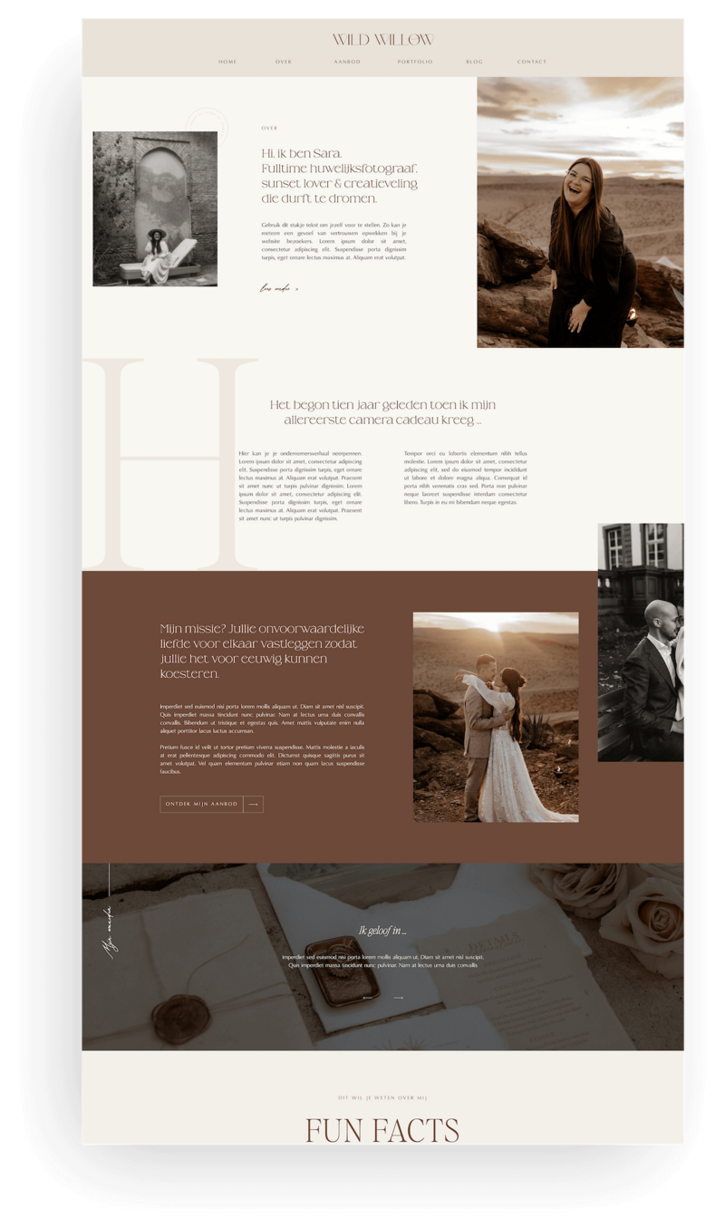 Wild Willow over pagina screenshot