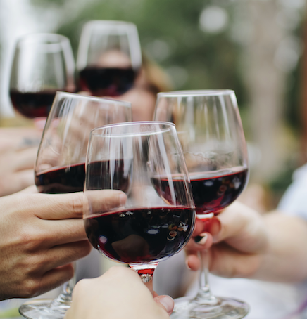 wine tasting experience in Italy