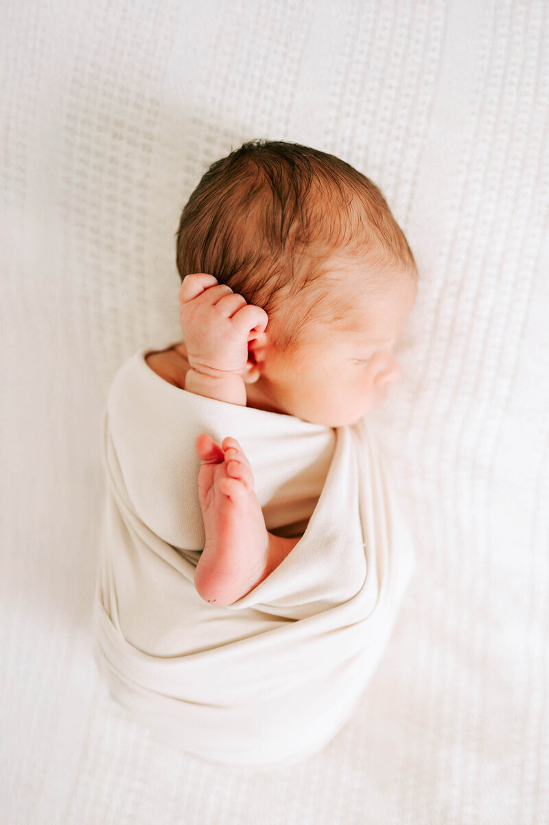 springfield-mo-newborn-photographer-54