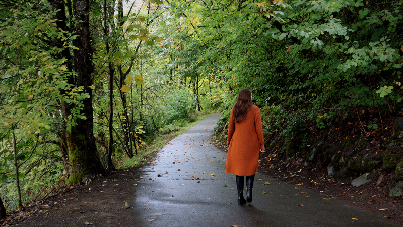 Beautiful pathway in the forest with a mountain and sky in the background