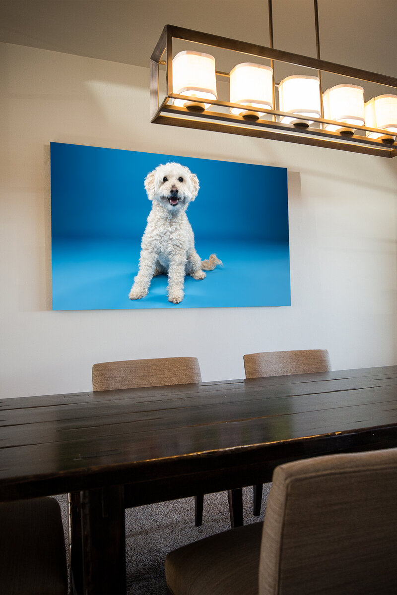 Guild Canvas Frameless Wall Vert