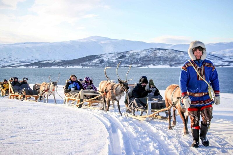 reindeer-sledding-christmas-in-tromso
