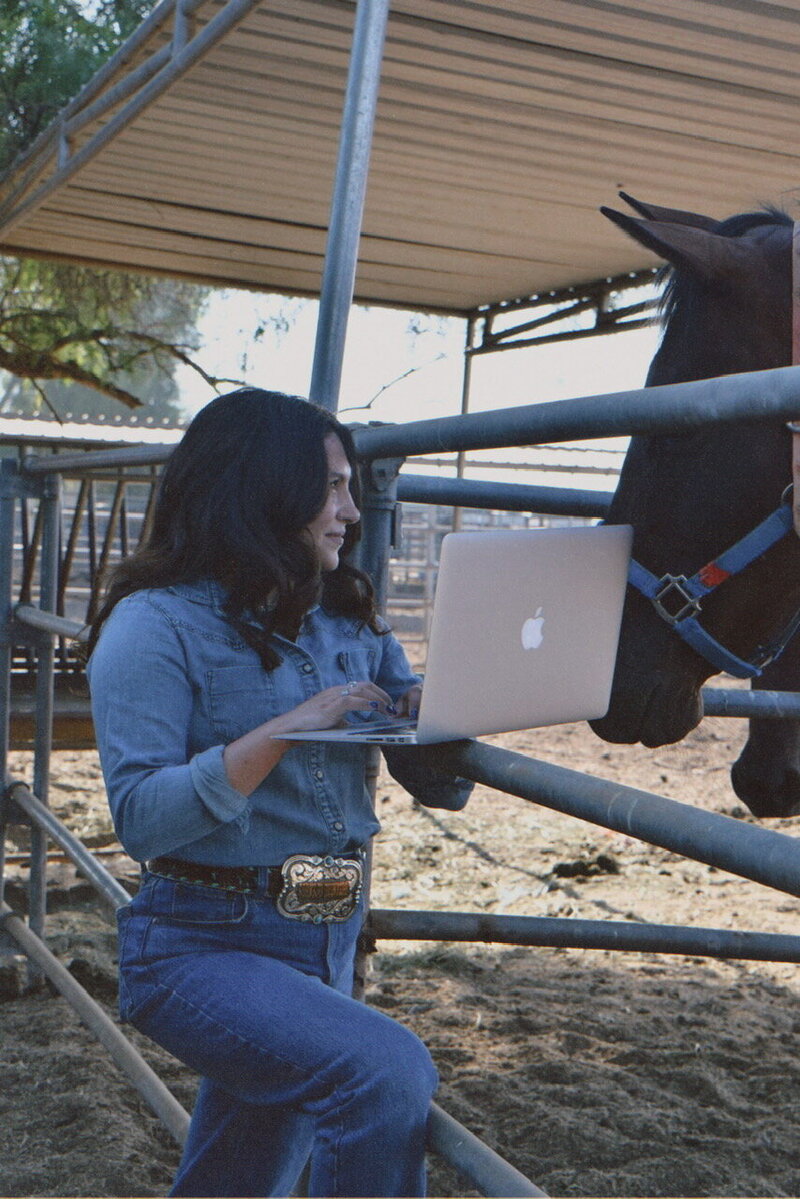 dorian horse laptop