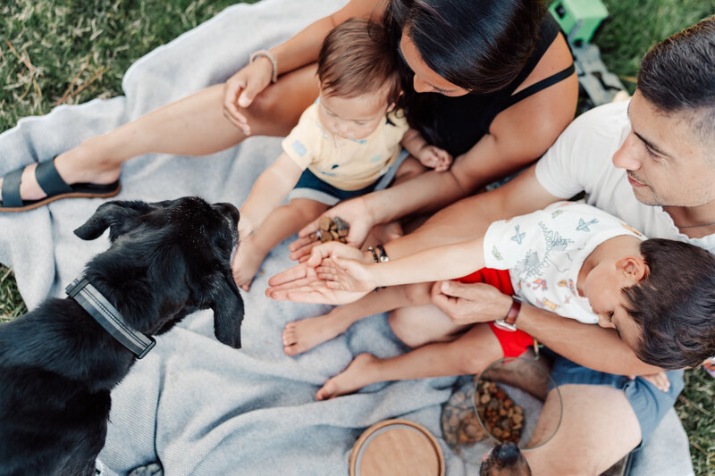 Back-Yard-Family-Photos-Portland-Oregon-34
