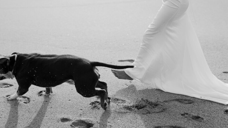 Big-Sur-Elopement-23