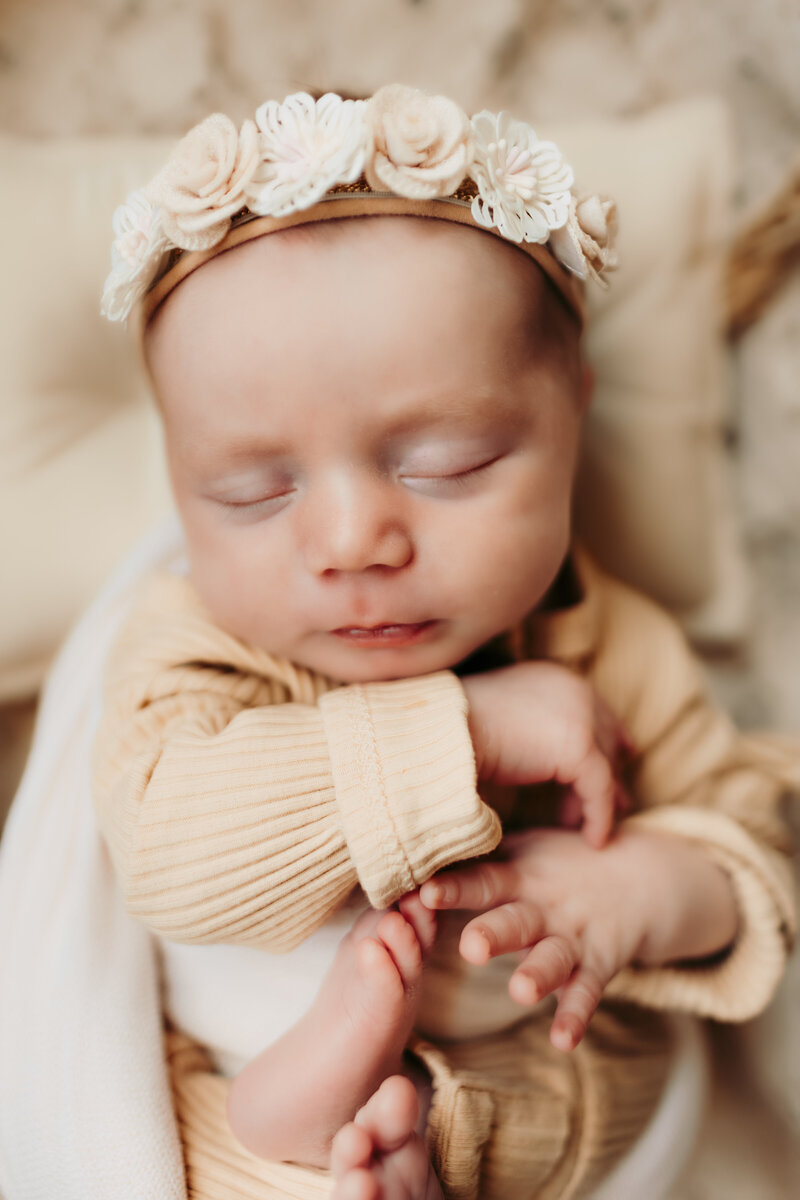 murfreesboro maternity photographer