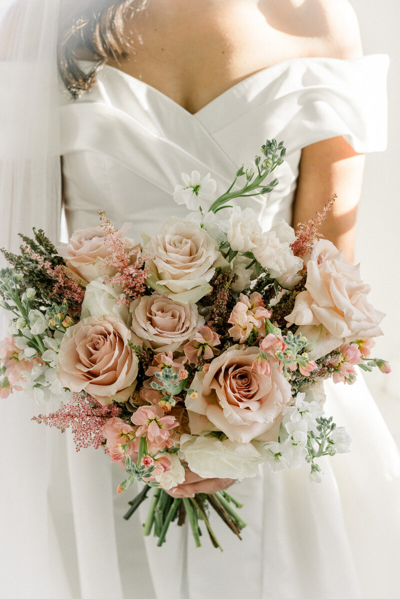 duluth-wedding-portraits