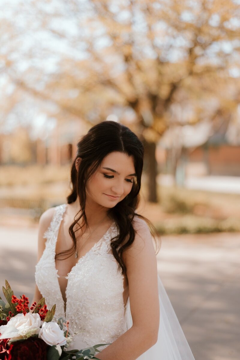 bridal portrait in peoria illinois