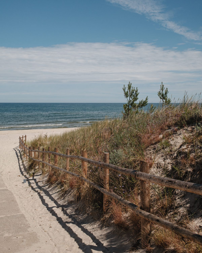 Scenic beach path surrounded by dunes and wild grasses, ocean in the distance
