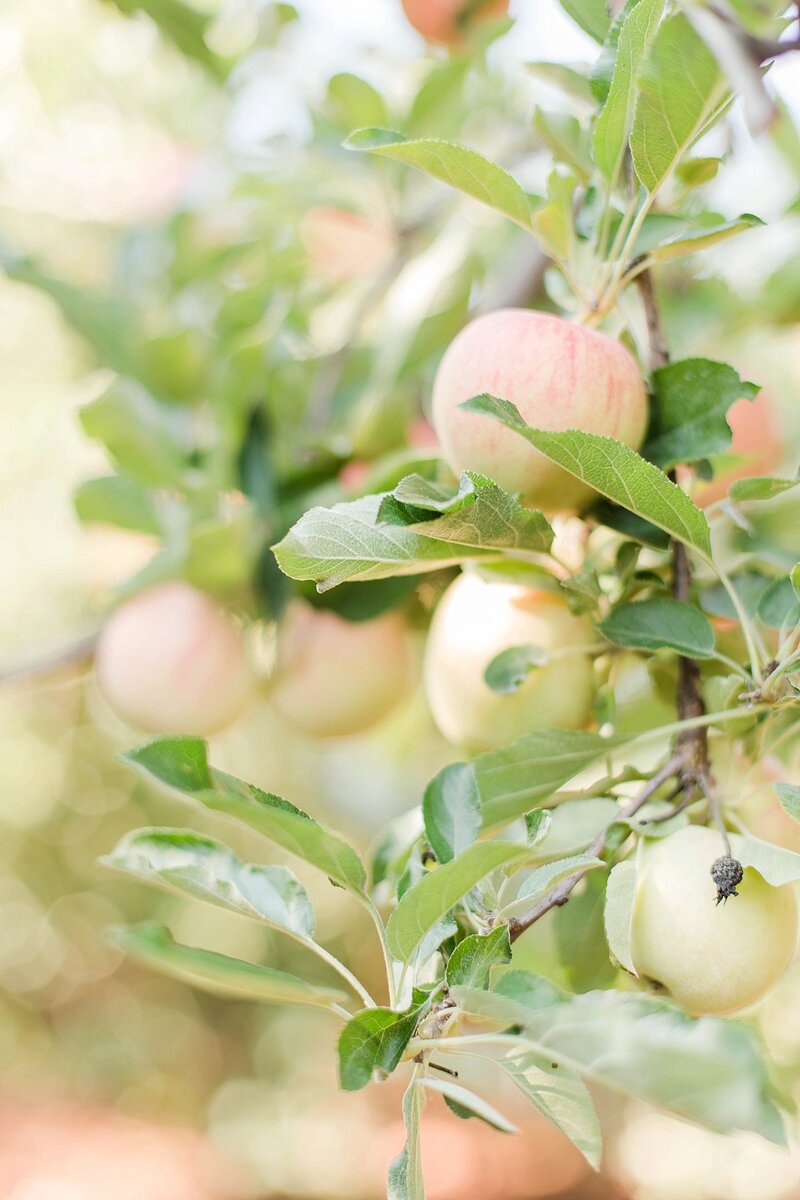 _Marissa___Nathan_(24_of_52)