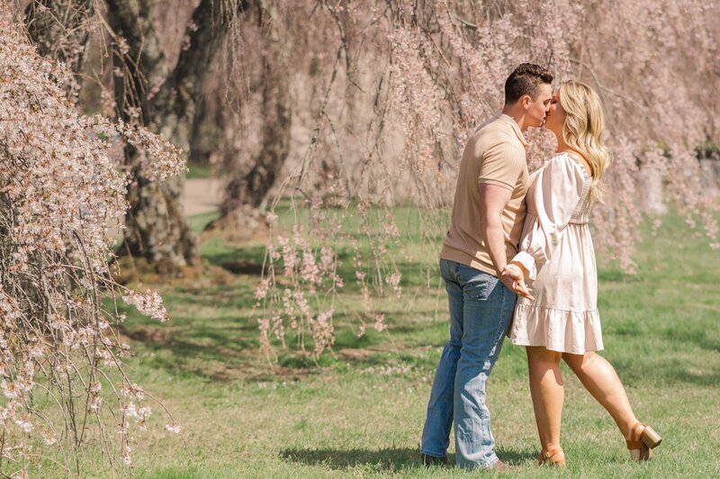 Couple kisses under cherry blossom trees at Lexington Cemetery