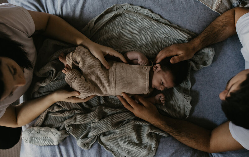 rex newborn65