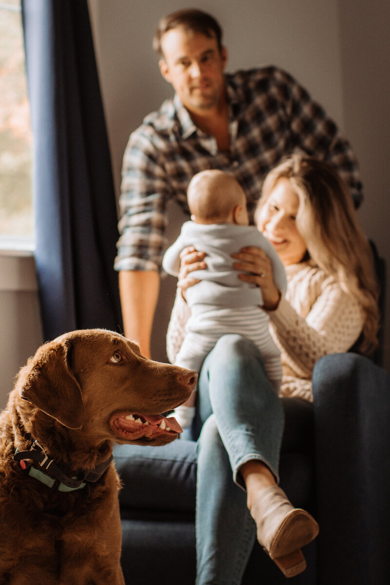 Newborn Family Photo Edgwater