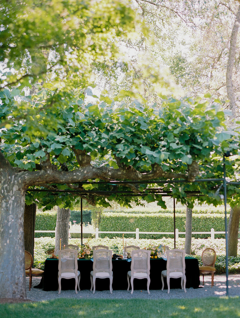a long table with white highback chairs and two yellow end chairs sit under the vines at beaulieu garden vineyard with dark green tabl eclock and orange florals