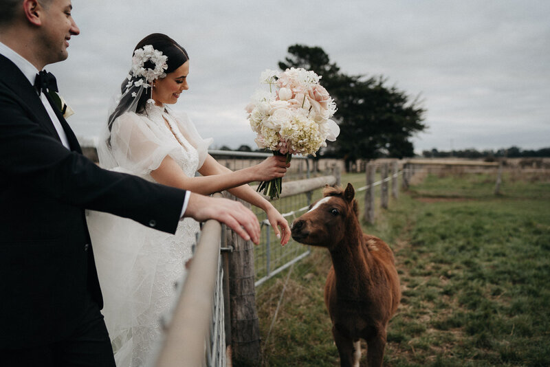 bride having a cute moment with a horse at Cadella Park near Melbourne