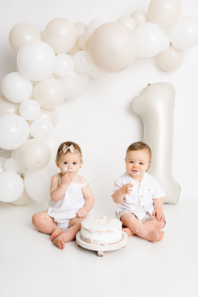 Cake Smash Session One year old twin studio natural light near Toledo, Ohio