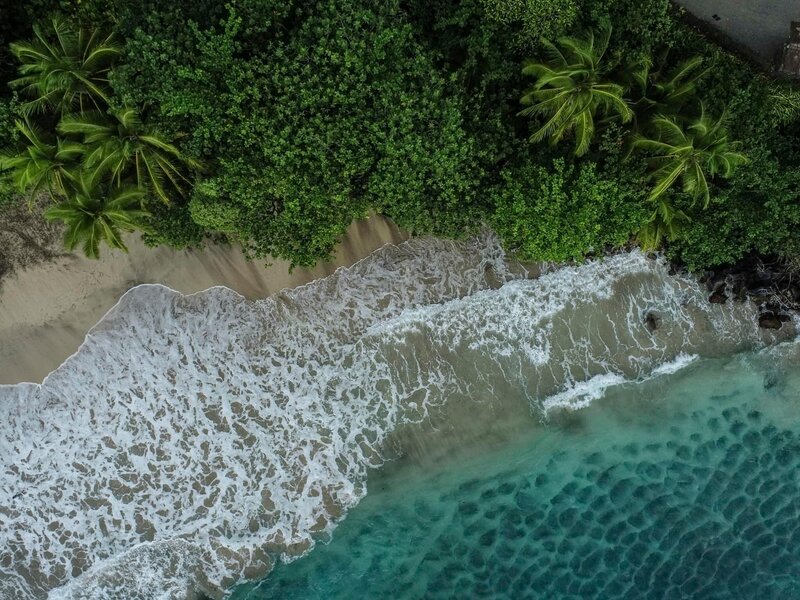 Maui Elopement Photographer captures blue ocean water with beach wedding colors