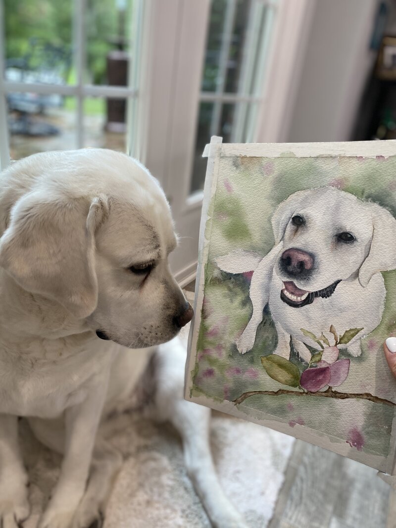 pet portrait annie