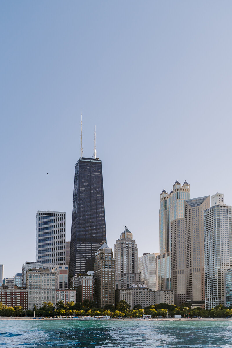 A photo of the Chicago skyline.