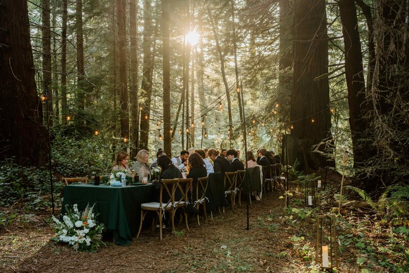 Wedding Dinner in the Redwoods