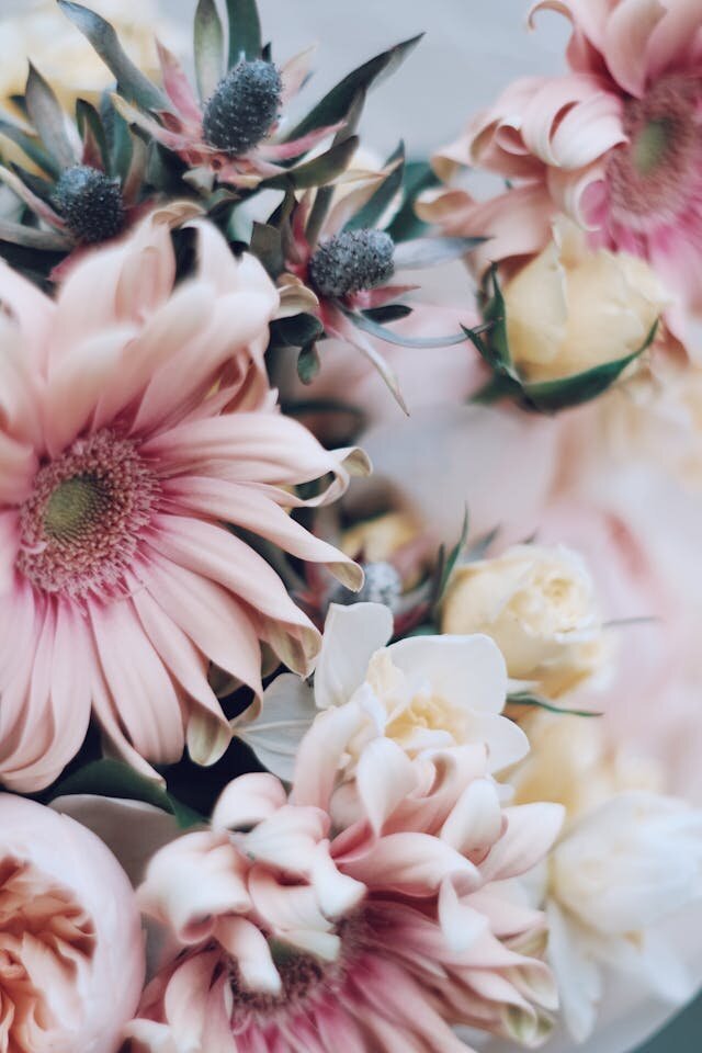 Bach Flower Remedies and the Ascended Masters Alchemy for Emotional Balance-003