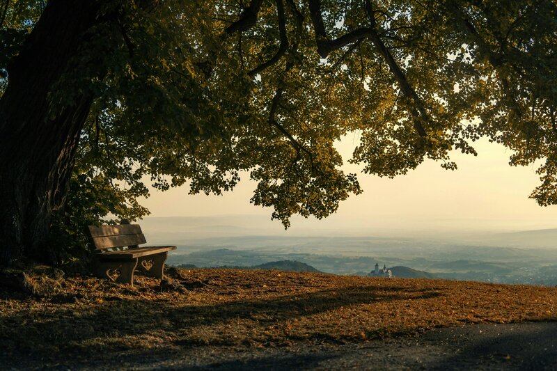 NLP life coach and hypnotherapy practice Harley Street London