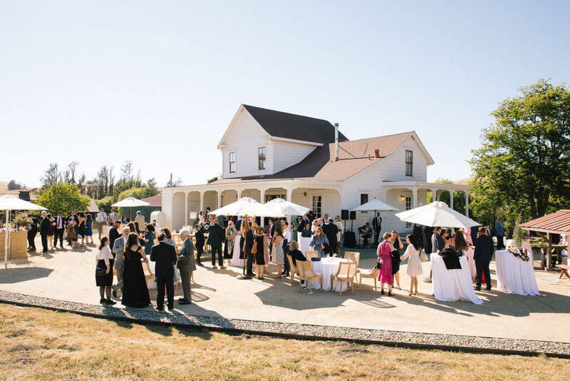 Petaluma Wedding Venue - Olympias Valley - NickJeanette091