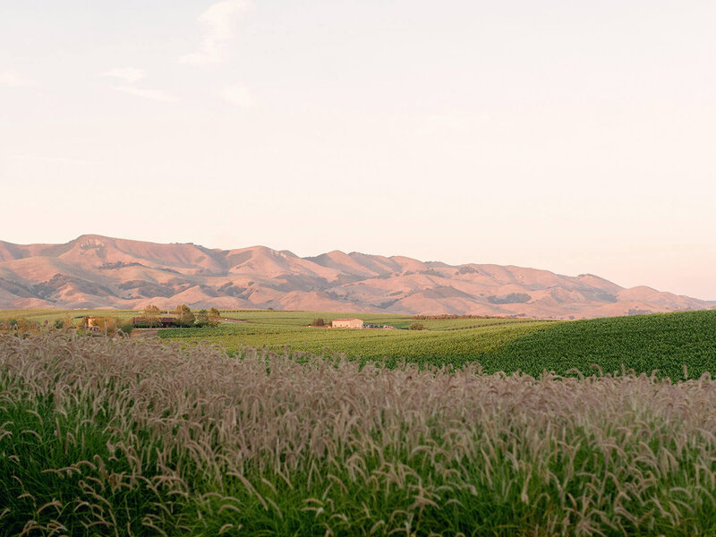 Greengate-Ranch-Vineyard-Wedding-Photographer-0206