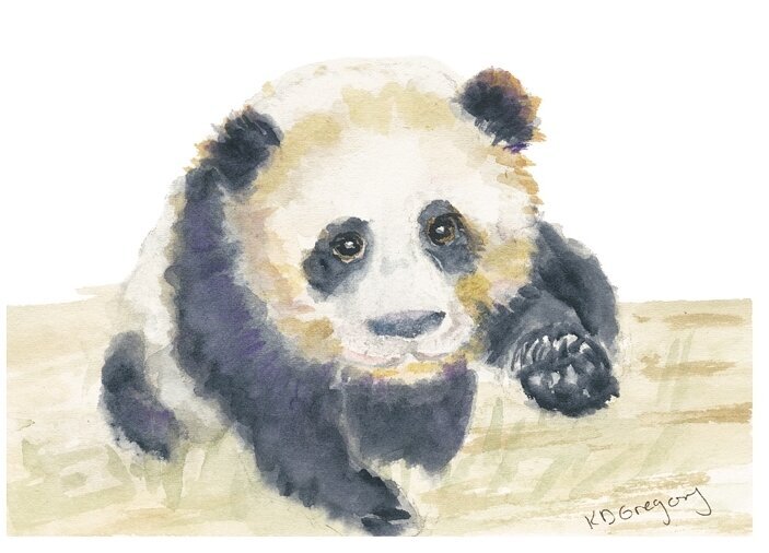 Panda-Paws KD Gregory Fine Art