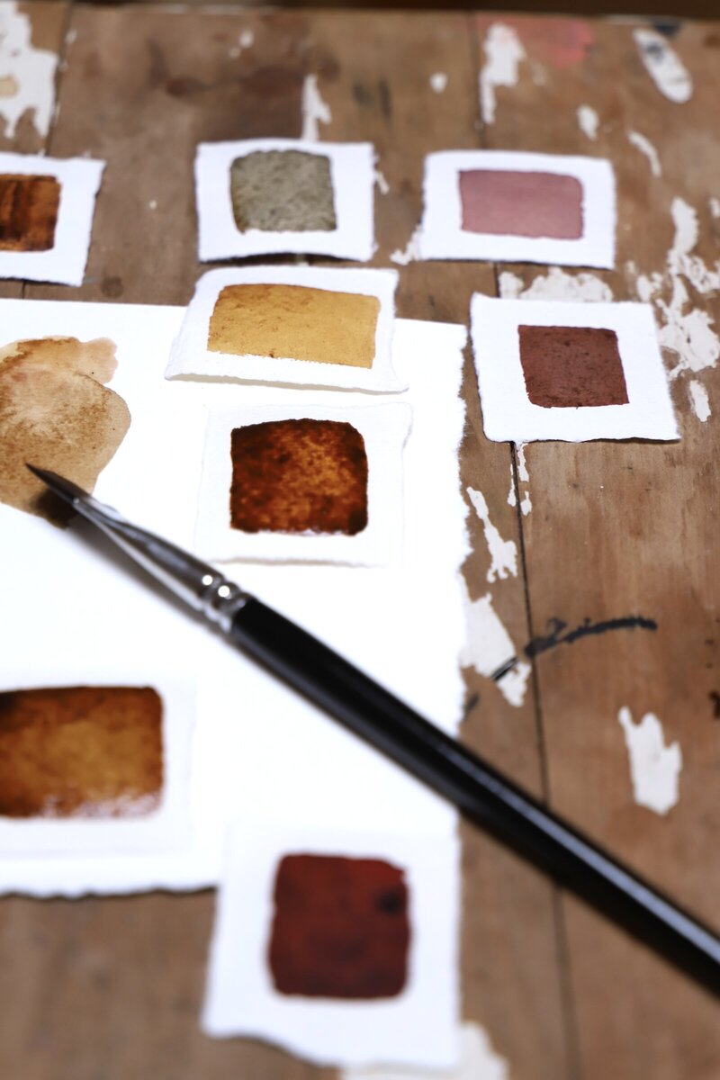 How to make paint from plants