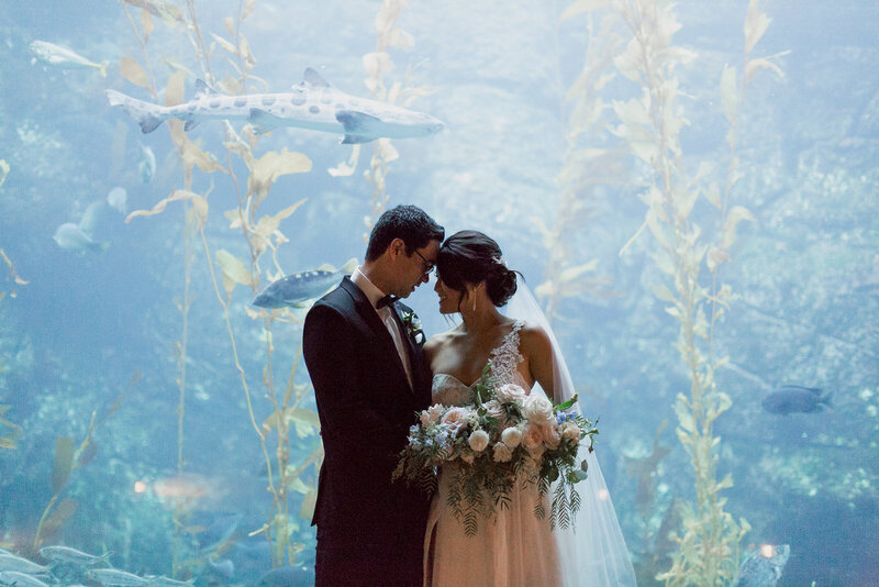 La Jolla Wedding Venues Birch Aquarium at Scripps
