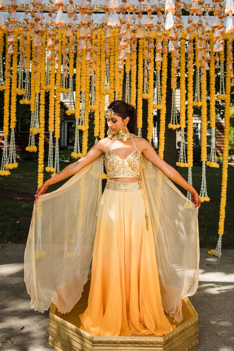 Chicago-Indian-Wedding-Photographer-Field-Museum_0026